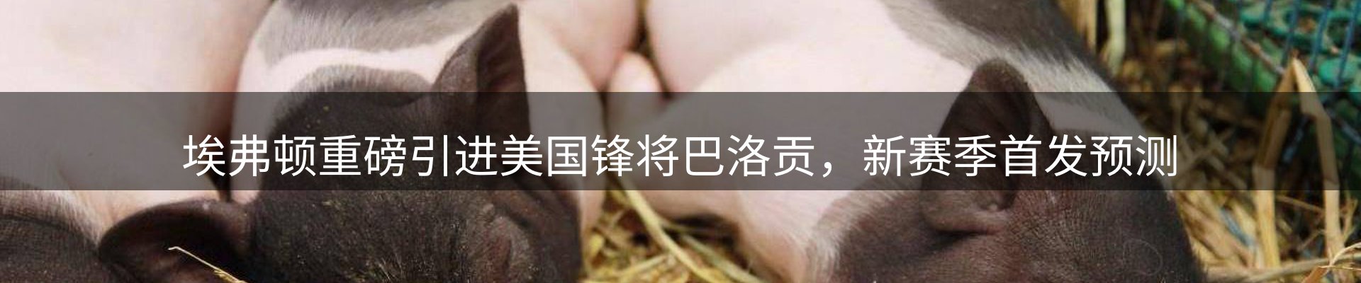 焦点窗口